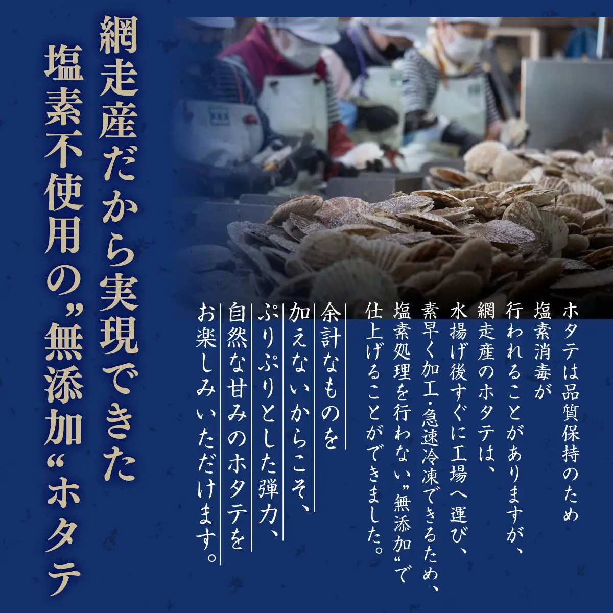 ＜網走前浜産＞無添加ホタテ貝柱【1kg (500gパック×2) 】 ABAI011 | ホタテ