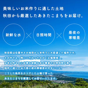 【定期便12回】令和7年産 秋田県産 あきたこまち【無洗米】5kg×12か月【こまちライン】