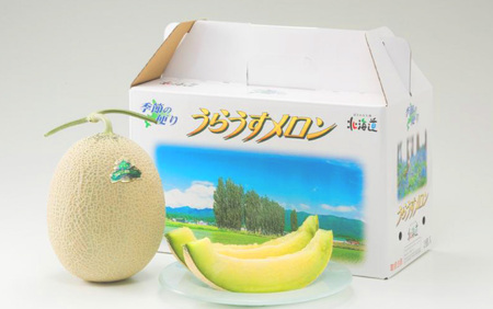 キングメルティーメロン 2玉 （1玉 約1.6kg） 果物 フルーツ メロン めろん 青肉 希少フルーツ 希少品 北海道 浦臼町 【2027年7月上旬～7月下旬発送予定】