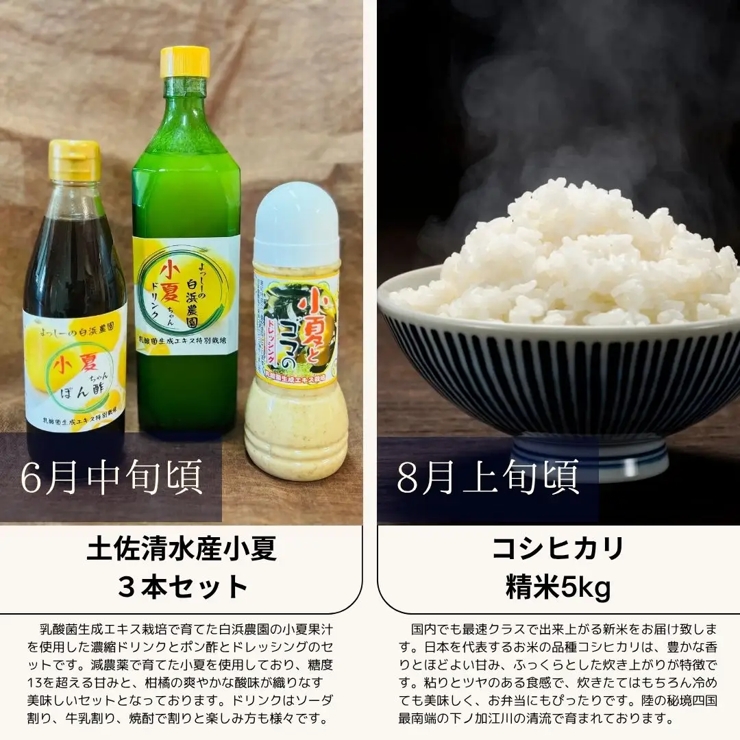 【6回定期便】 高知の旬を楽しむ 芋餅 初鰹 かつおたたき かつお 小夏 ドレッシング 米 新米 コシヒカリ 干物 焼き鳥【J00228】