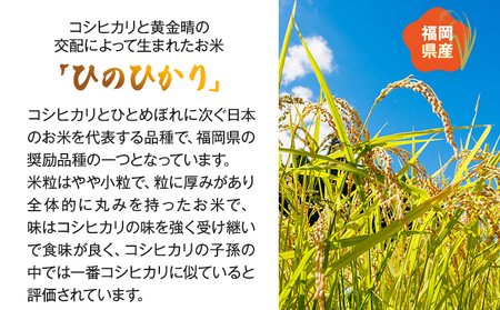 【令和5年産】 福岡県 大木町産 ひのひかり 7分づき 10kg　(3～7分付米は玄米10kgより都度精米を行うため、お届け重量は10kg以下となります。詳細はページ内よりご確認ください) BC01_7b