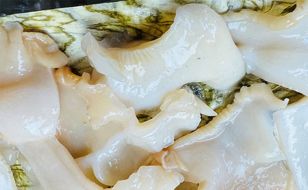バイ貝 富山湾産 大ぶり朧昆布締め バイ貝【150g】【定期便3か月】