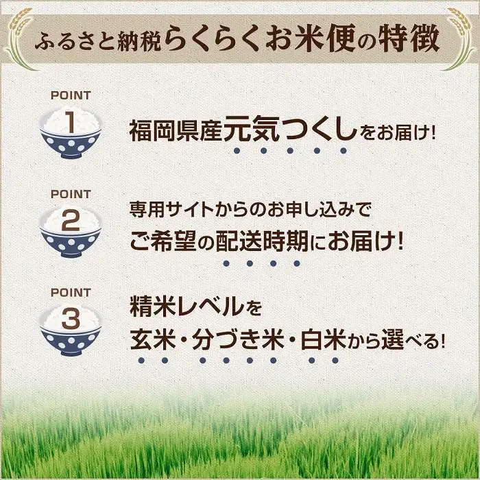 米【特A評価獲得】福岡県産 元気つくし ふるさと納税 らくらくお米便 60kg コース ｜米