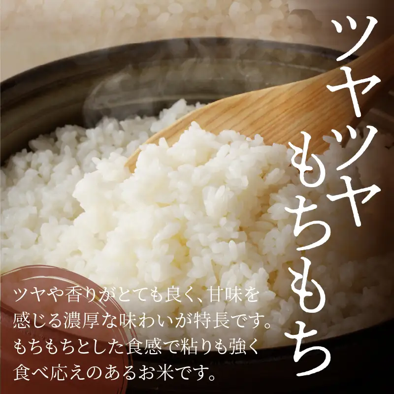 ≪都農町産≫新米コシヒカリ(計10kg) 米 お米 ご飯 国産_T031-0025【人気 ご飯 お米 ギフト 産米 お米 食品 お米 精米 白米 新米 こしひかり 有洗米 米飯 こめ 米 飯米 ライス 米 ごはん おにぎり おむすび 米 お漬物  お弁当 特産品 お米 米穀 地域の品 お米 ライス 米 宮崎県産 お米 都農町 お米  令和8年産 お米】