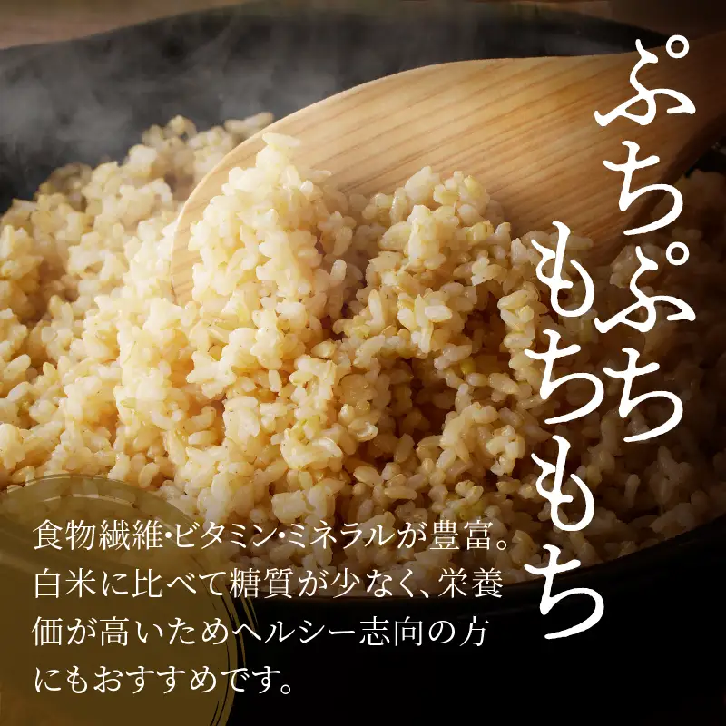 ≪都農町産≫新米コシヒカリ(玄米)5kg 米 お米 ご飯 国産_T031-0035