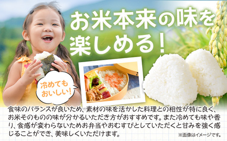 R7年産米 岡山県産 きぬむすめ 10kg 全農パールライス 