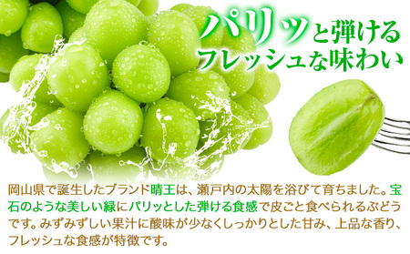 シャインマスカット晴王約1.1kg 