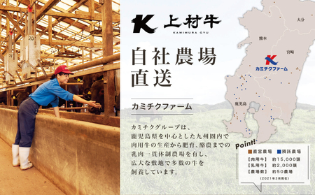 【自慢の自社ブランド牛】鹿児島県産「上村牛」 赤身スライス 計800g (200g×4P)  肉 牛肉 冷凍 南さつま市 カミチク