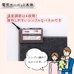 （ワタナベ工業）そのまま使えるホットカーペット１畳（ブラウン）【WHC-105KPL-BR】020-013