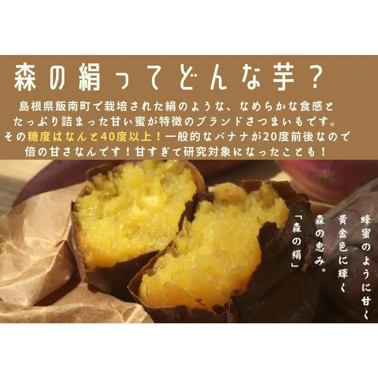 蒸して干しただけ！高糖度サツマイモ「森の絹」の干し芋250g×3袋【 干し芋 ほしいも 森の絹 農薬不使用 蜜 サツマイモ 大容量 】