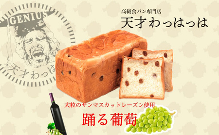 【ふるさと納税】 踊る葡萄 サンマスカット レーズン 1.5斤 パン ぱん 食パン ブレッド おいしい 朝食 朝ごはん 朝  数量限定 訳あり ふるさと納税 ふるさと 人気 おすすめ 送料無料 兵庫県 三田市