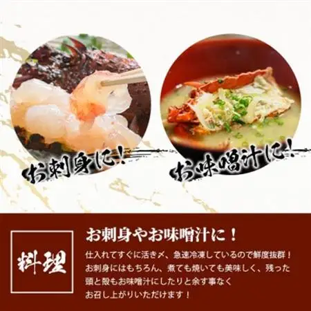 枕崎港水揚げ!　活〆冷凍 【伊勢海老】 2～4匹 計約2.2kg E0-14_魚介・海産物 伊勢海老 エビ いせえび 伊勢エビ_【配送不可地域：離島】【1470872】