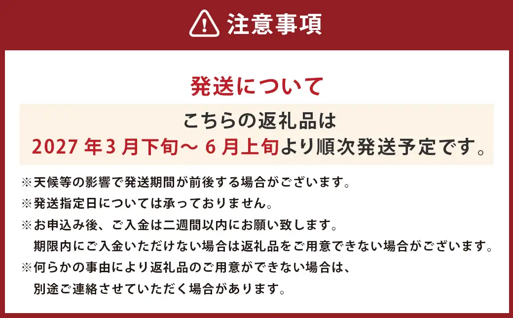 ＜ R8年熊本地震復興支援 ＞河内晩柑 【手選別まごころ選果】 約5kg サイズ不選別【2027年3月下旬～6月上旬迄順次発送予定】