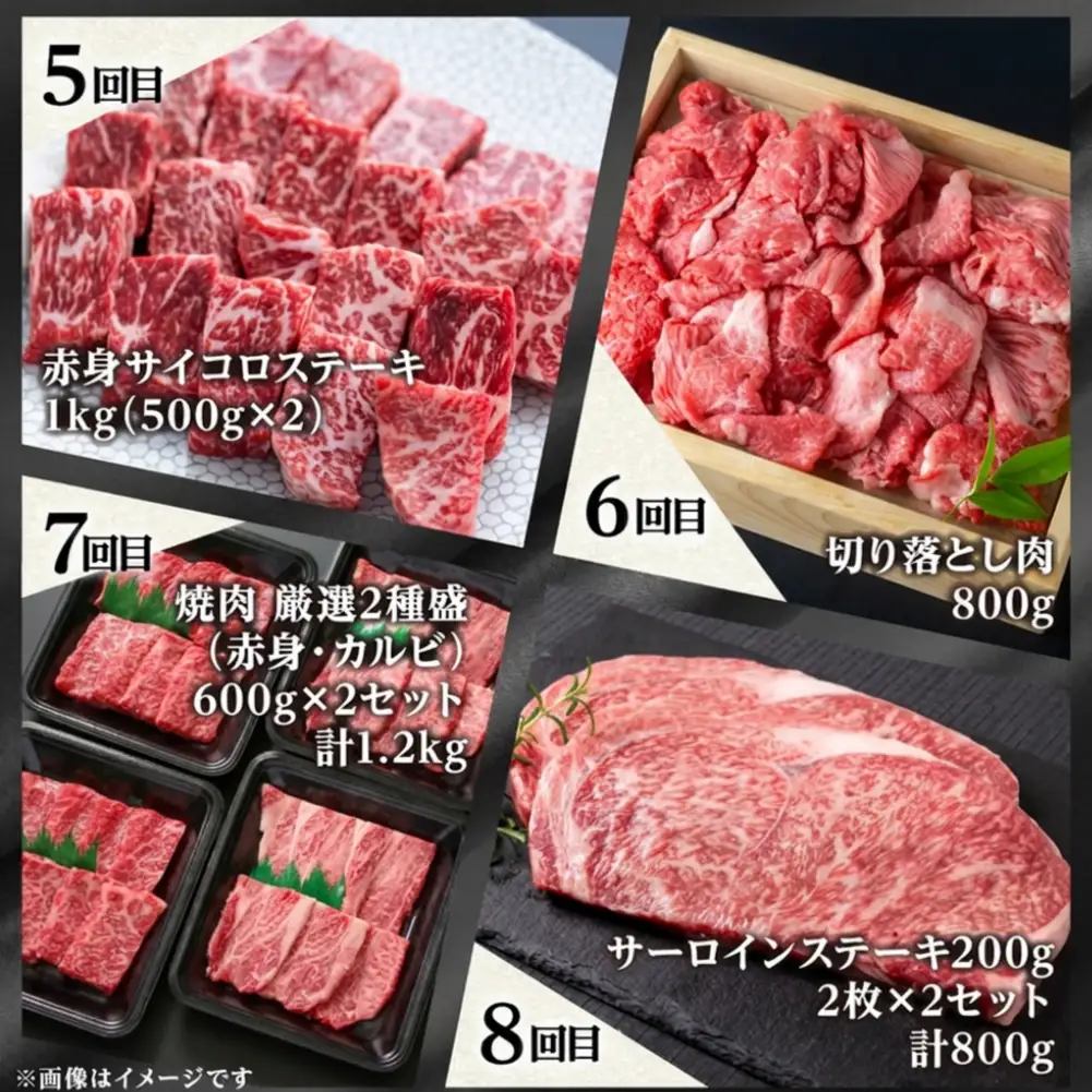 大容量 《まるごと定期便》12回 飛騨牛三昧 大容量 [S600]