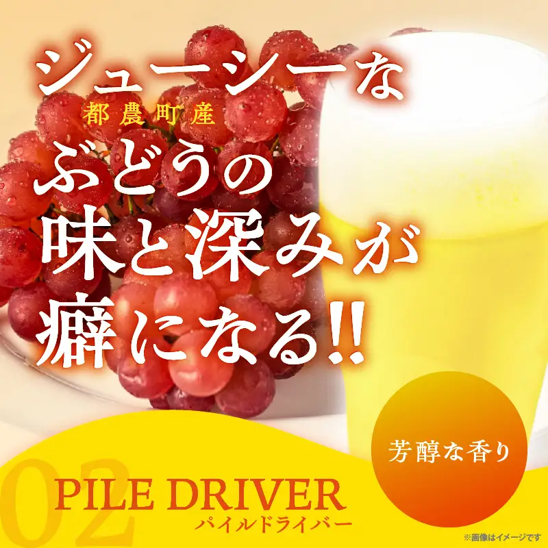 【2週間以内発送】都農クラフトビール詰め合わせ6本セット 酒 アルコール 飲料 国産_T016-0035