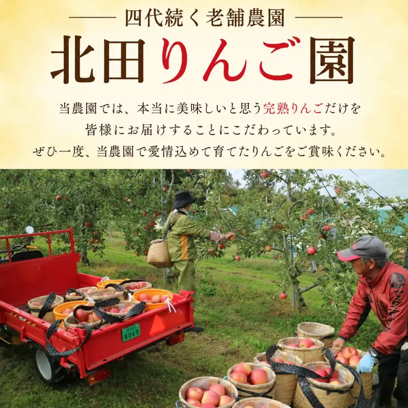【1月発送】完熟 サンふじ  5kg 14～20玉  北田りんご園 kitada008 サンふじ