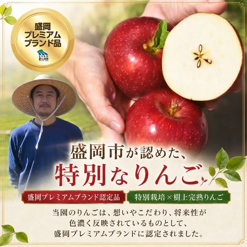 期間限定 先行予約りんご季節便(発送1回)3kg＜10月~12月便＞ りんご 工房きただRKK002