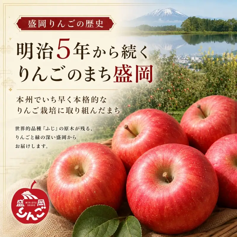 【先行予約】味恋セット 盛岡りんご 詰め合わせ 5種 5kg 12月発送 朝島観光りんご園 asashima005  りんご