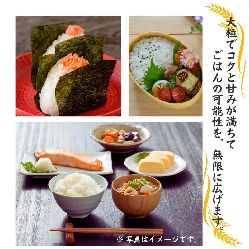 新米 新之助 【令和8年産 新米】 5kg×1袋 しんのすけ 艶コクと甘みあふれる米 農家直送 大山農場 糸魚川産 新潟県産 お弁当 おにぎり 白米