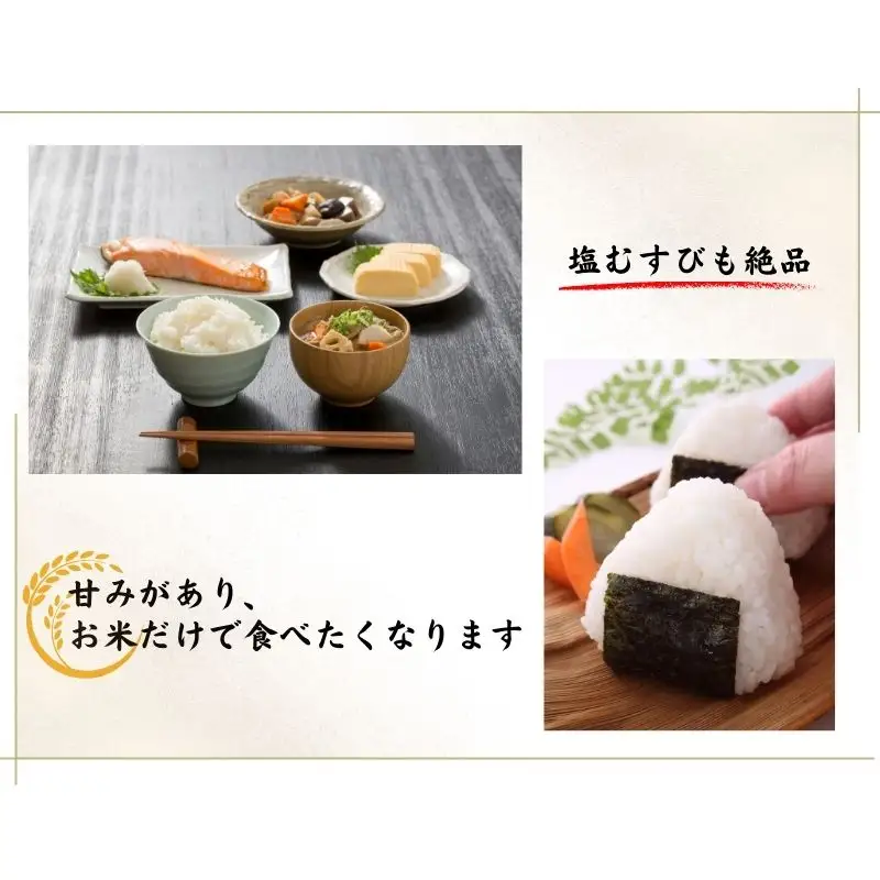 新米 米【令和8年産新米】 新潟県産 コシヒカリ 10kg（５kg×2袋）こしひかり  特別栽培米 甘みが口の中で広がる コシヒカリ 農家直送 大山農場 糸魚川産 美味しい 農家自慢 甘い お米 白米 おにぎり お弁当 糸魚川産 コシヒカリ