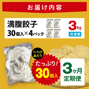 【3ヶ月定期便】満腹餃子 リピーター続出！ボリューム満点！120個（３kg ）×3回 老舗 大容量 国産 焼き餃子 冷凍 ぎょうざ ギョーザ 冷凍餃子 簡単調理 惣菜 おかず おつまみ スタミナ 高評価 水戸市 茨城県（EJ-14）