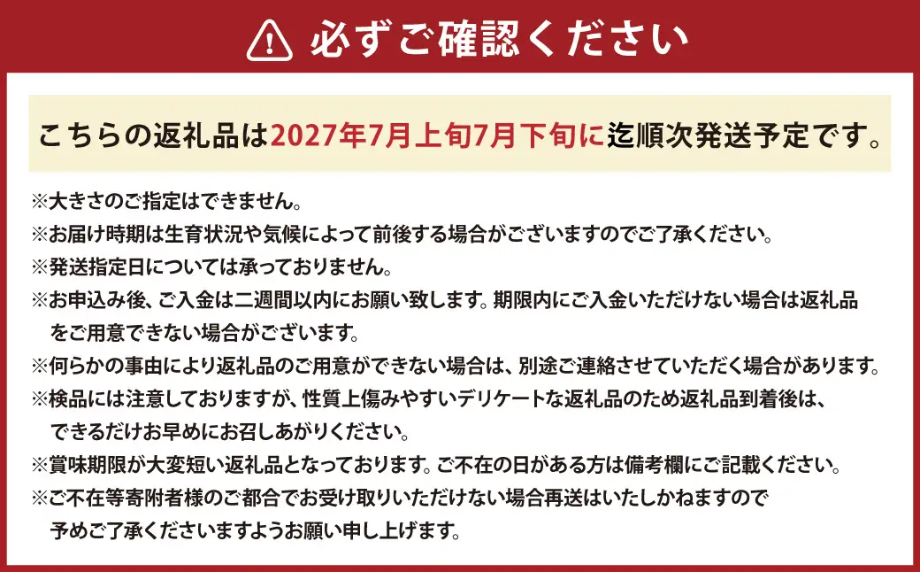 マドンナスイカ 1玉 （2～3Lサイズ） 果物 フルーツ すいか スイカ 西瓜 季節のフルーツ 旬のフルーツ 旬 甘い 北海道 浦臼町 【2027年7月上旬～7月下旬発送予定】