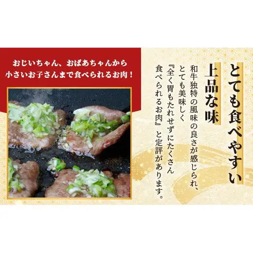 石垣島産 黒毛和牛 新里牛 極希少！ 牛タン (200g×1) 200g SZ-18