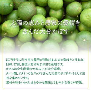 爽快!!かぼすのサイダー/495ml×24本 _1182R