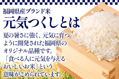 令和6年度産 福岡県産 元気つくし 10kg(5kg×2袋) 白米 お米 ご飯 米 精米 送料無料 お取り寄せグルメ お取り寄せ 福岡 お土産 九州 福岡土産 取り寄せ グルメ 福岡県
