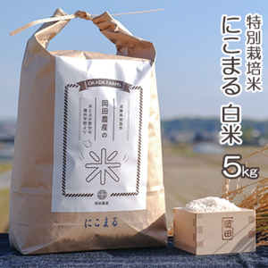 米びつオバケツライスストッカー渡辺金属工業米びつ【にこまる5kg付】
