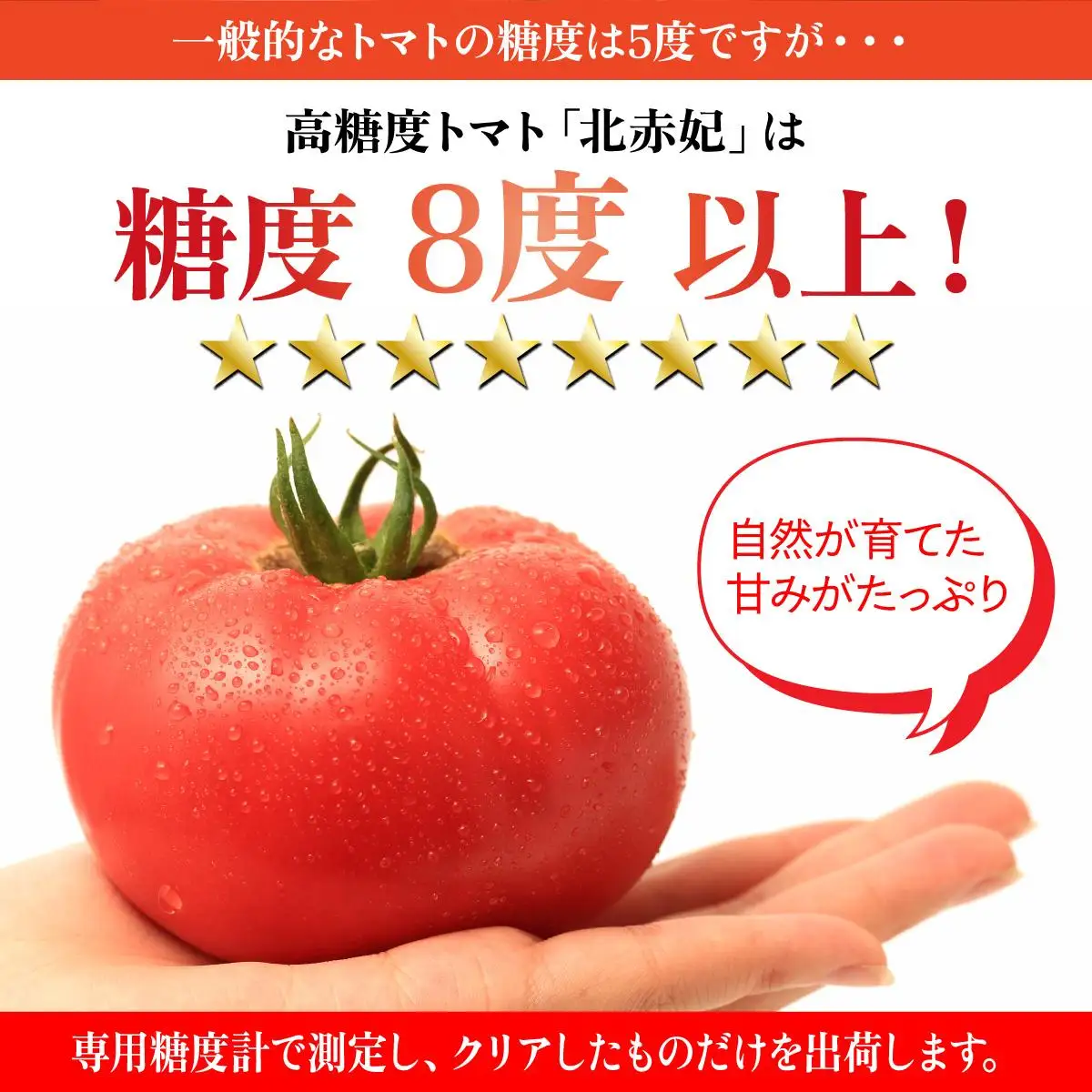 【2026年 発送 】 先行予約 北海道 伊達市 高糖度 トマト 北赤妃 きせき 約1kg  1箱 Mサイズ とまと 新鮮 ジューシー 産地直送