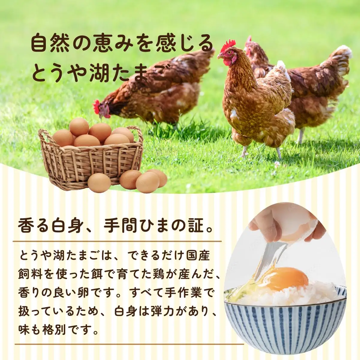 [5525-0920]【6ヵ月 定期便】 北海道 伊達市 とうや湖 卵  40個 入り たまご