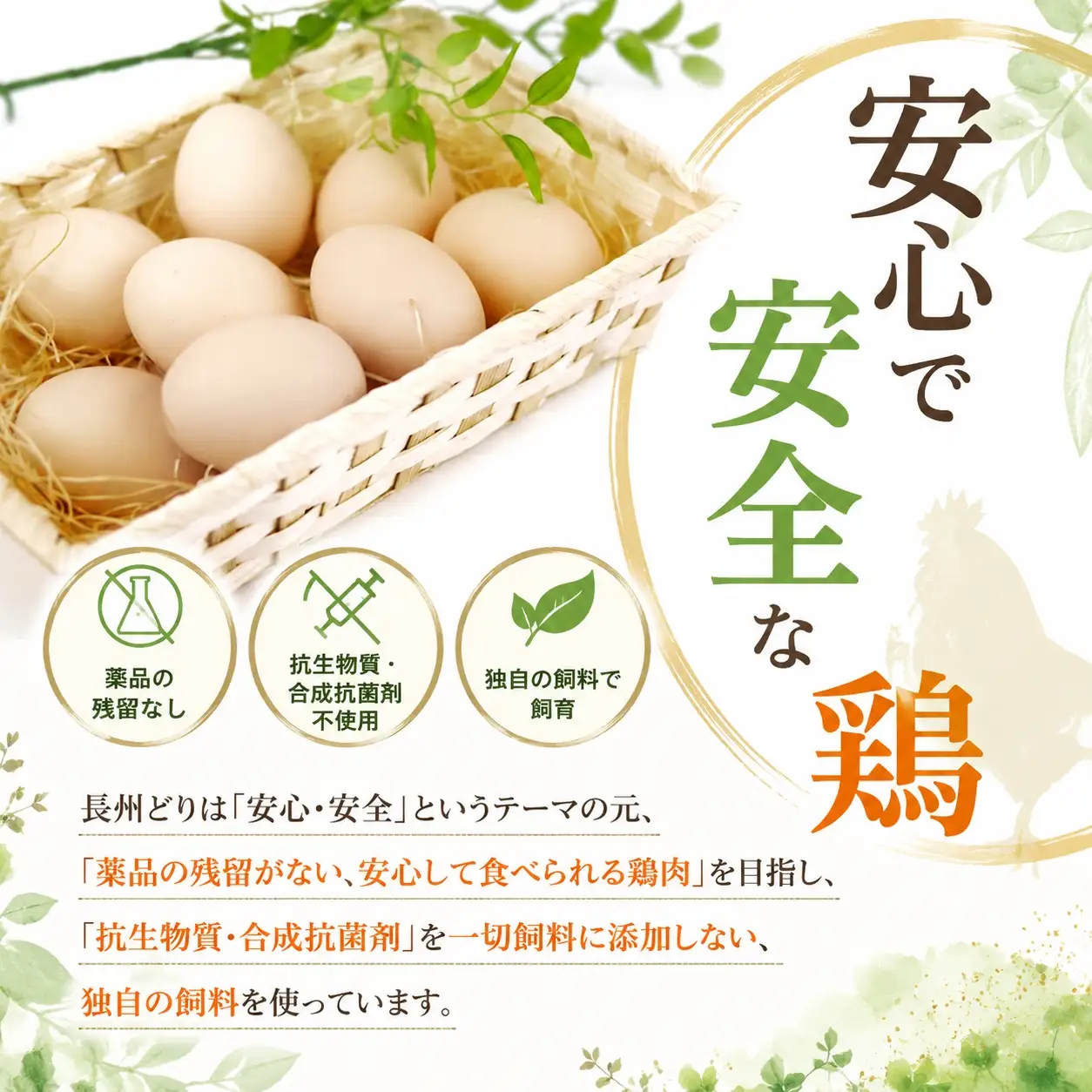 【定期便3回】長州どり もも 切り身 合計1.8kg (300g×6パック)