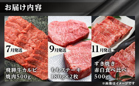 《まるごと定期便》6回 奇数月 厳選 お届け 飛騨牛 定期便 [S633]