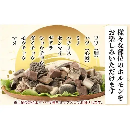 石垣島産 黒毛和牛 新里牛 ホルモンミックス(500g×２) 合計1kg SZ-23