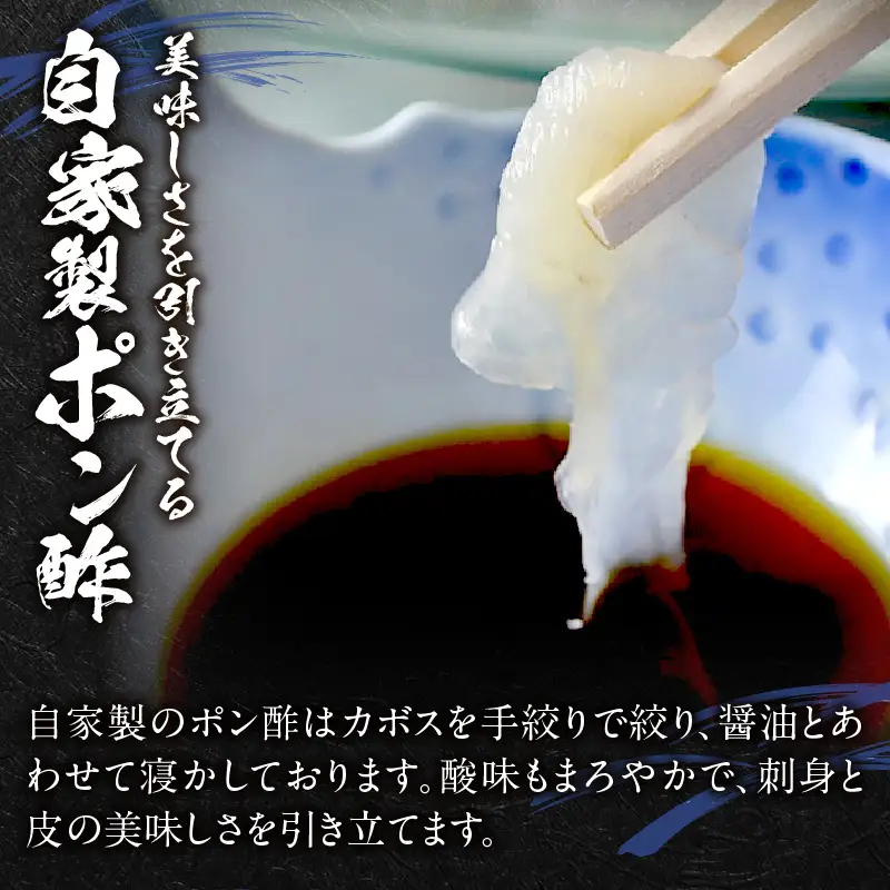 ＜期間限定＞ 天然とらふぐ 刺身 2～3人前_B149-001