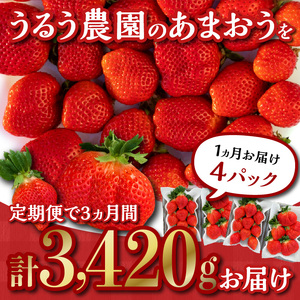【定期便 3回】うるう農園の特別栽培あまおう サイズ色々4パック1140g×3回 _定期便 あまおう いちご 4パック 1140g × 3回 福岡県特産 小玉 特大 サイズ サイズ色々 国産 ストロべリー 果物 フルーツ スイーツ おやつ 冷蔵 特別栽培 有機質肥料 認証 うるう農園 久留米市 お取り寄せ 送料無料 〔Tk006〕