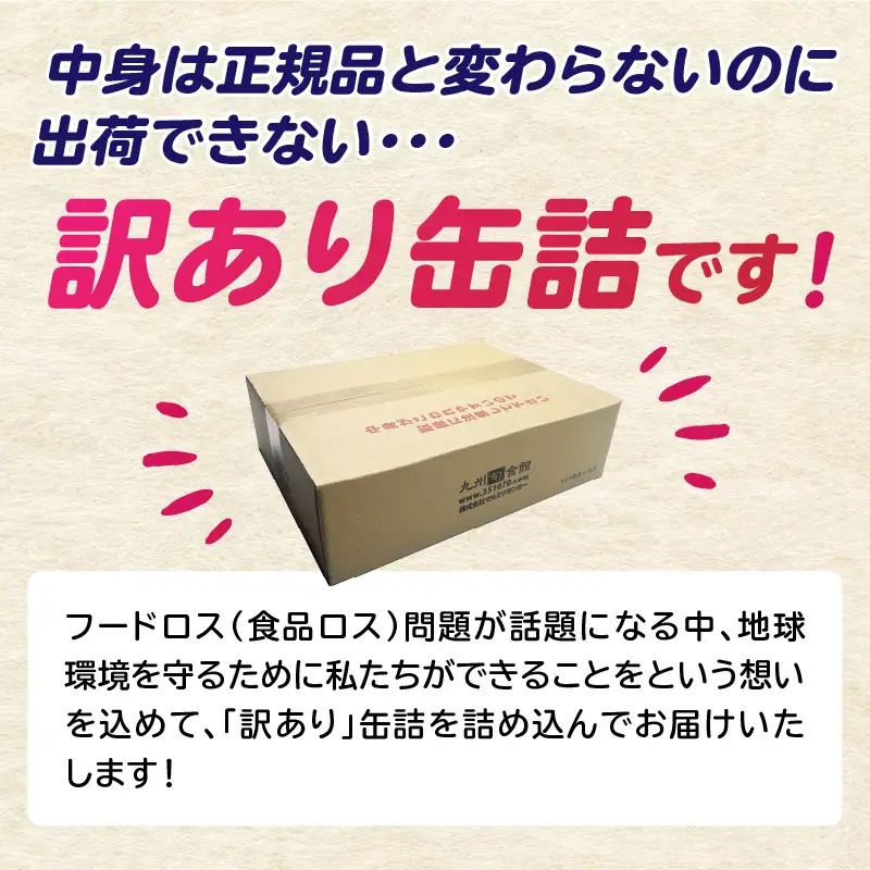 九州福岡工場直送！訳あり缶詰お楽しみ福箱 007-025
