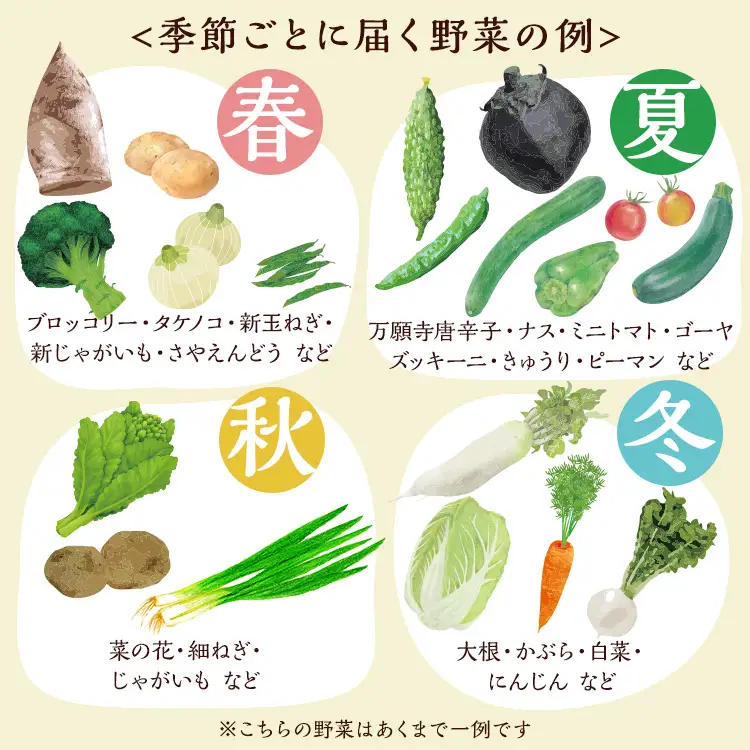 旬の京野菜セット 野菜 米 卵 納豆 詰め合わせ