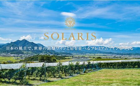 テロワールセット(紅白セット)  ワイン お酒 赤ワイン 白ワイン ワインセット 果実味 しっかりしたタンニン 