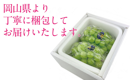 ぶどう 2026年 先行予約 シャイン マスカット 晴王 2房（合計約1.1kg） 岡山県産 シャインマスカット