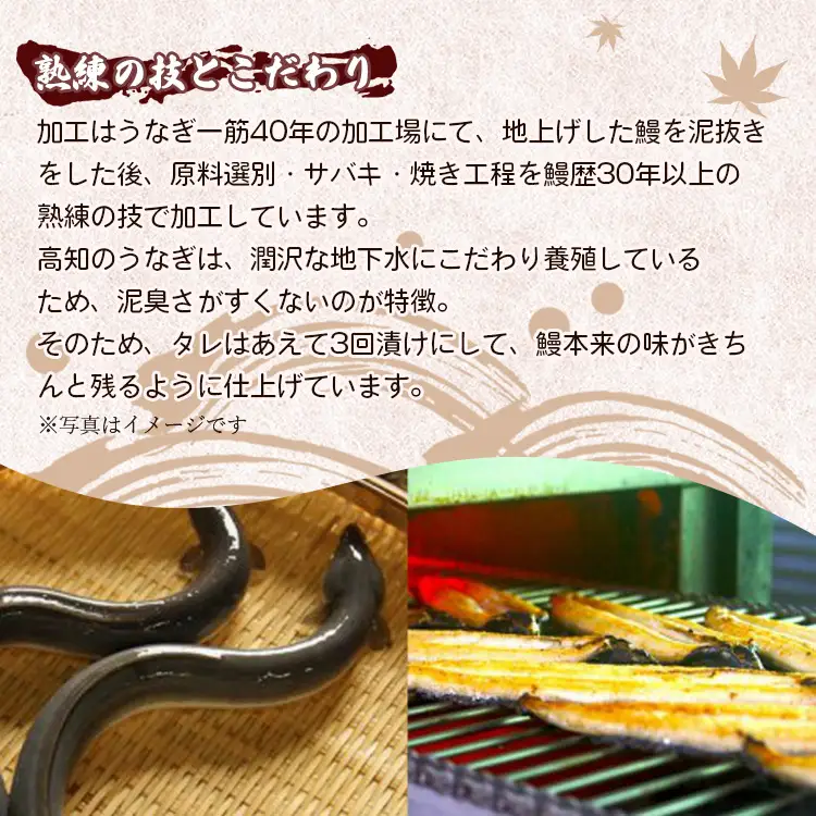 【 蒲焼き 】 うなぎ 10尾 計2200ｇ 鰻 ＜ 高知県 香南市 ＞ 蒲焼き ss-0037