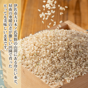 isa533 令和5年産 伊佐のおいしい棚田米〈玄米〉 ヒノヒカリ(計6kg・2kg×3袋) 国産 玄米 伊佐米 お米 米 ごはん ご飯 ひのひかり【薩摩美食倶楽部】