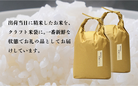 【全6回定期便】福岡県産【特A】評価のお米「元気つくし」5kg×2袋 [10kg] [白米] [ABDF116]