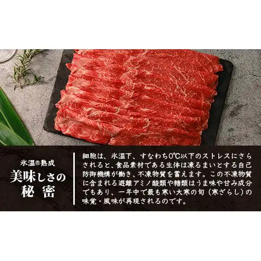 石垣島産 黒毛和牛 ウデスライス 500g×2【合計1kg】 YC-1