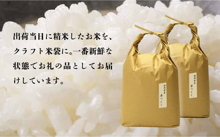 【全3回定期便】福岡の食卓ではおなじみの人気のお米「夢つくし」5kg×2袋 [10kg] [白米] [ABDF121]