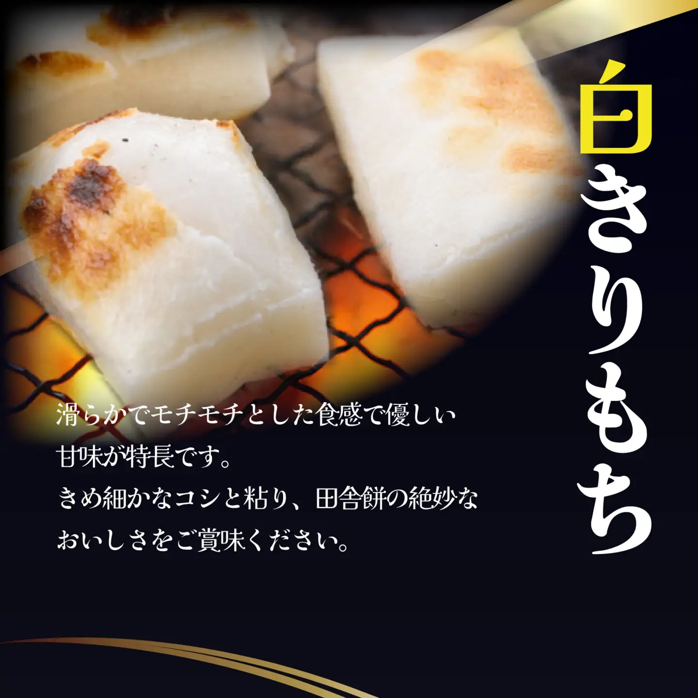 特別栽培米　白きりもちと玄米きりもち　合計20個 [A-020015] / 餅 餅