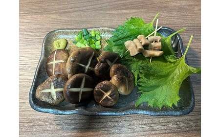 【茎まで美味しい】一休しいたけ　ハネ品　1キロパック　【12203-0164】