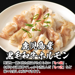 isa530 ≪毎月数量限定≫鹿児島産黒毛和牛ホルモン(合計800g・200g×4P)国産 牛 和牛 小腸 小分け 真空パック もつ鍋 焼肉 煮込み BBQ バーベキュー アウトドア 冷凍 冷凍便【財宝】