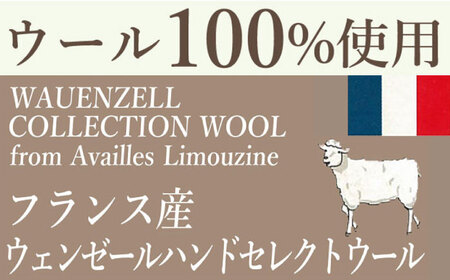 フランスウール 掛け布団 シングル（KIK0045S）壱岐市 くじめ屋 JFU018  FN-Limited-SP